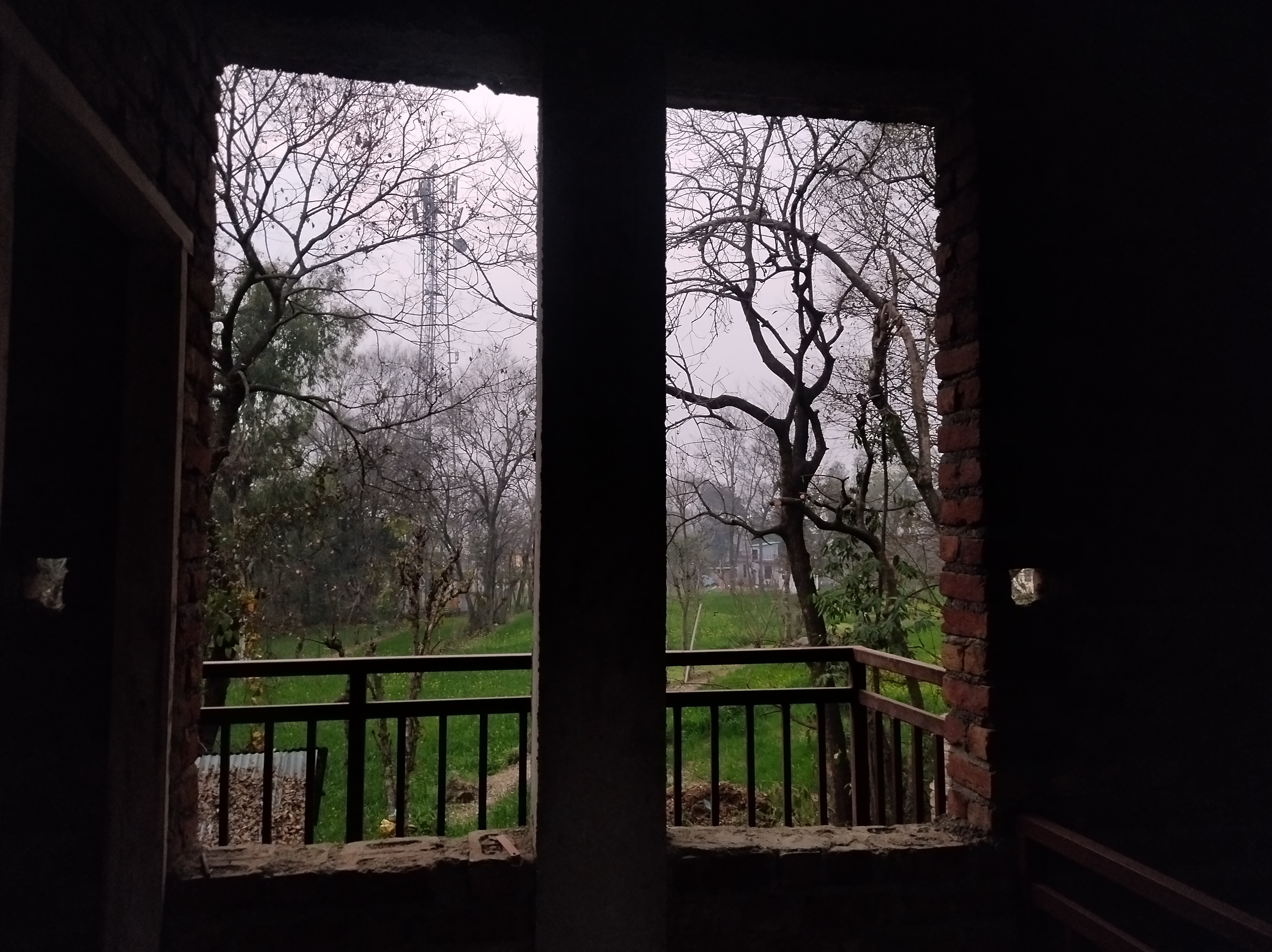 A window looking out on a view of trees and a grassy field.